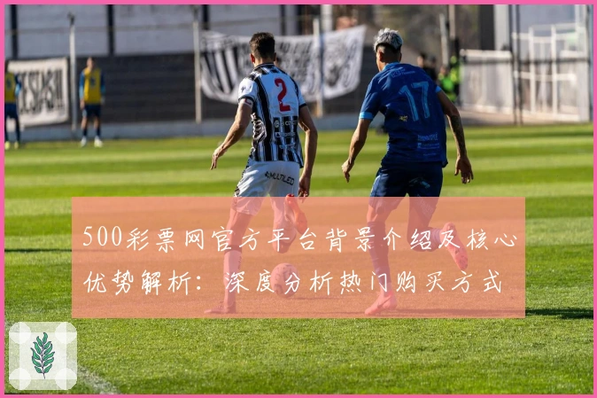 500彩票网官方平台背景介绍及核心优势解析：深度分析热门购买方式
