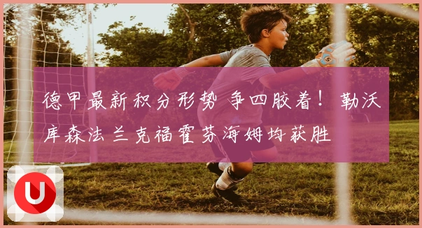 德甲最新积分形势 争四胶着！勒沃库森法兰克福霍芬海姆均获胜