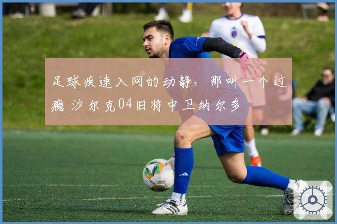 足球疾速入网的动静，那叫一个过瘾 沙尔克04旧将中卫纳尔多