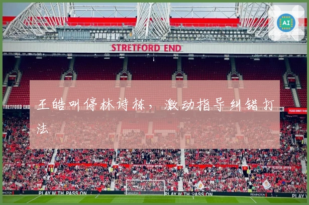 王皓叫停林诗栋，激动指导纠错打法