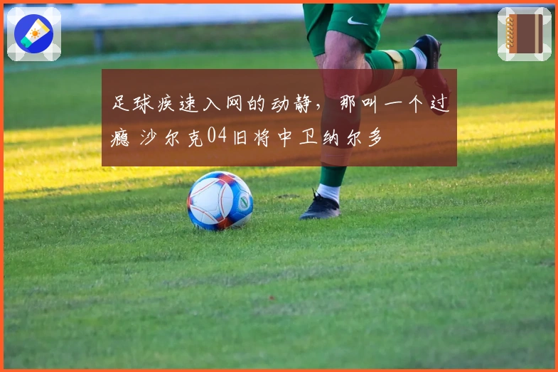 足球疾速入网的动静，那叫一个过瘾 沙尔克04旧将中卫纳尔多