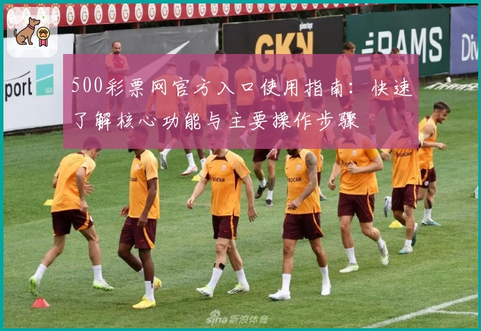 500彩票网官方入口使用指南：快速了解核心功能与主要操作步骤